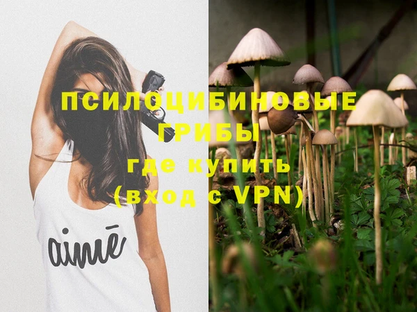 скорость Абаза
